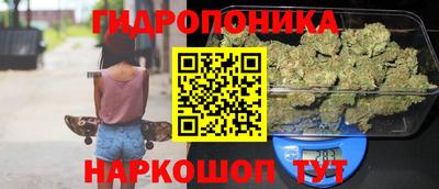 jwh Ярославль