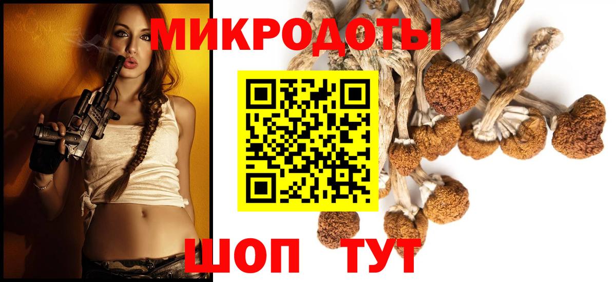 Псилоцибиновые грибы Psilocybine cubensis  Вход с VPN  Славгород 